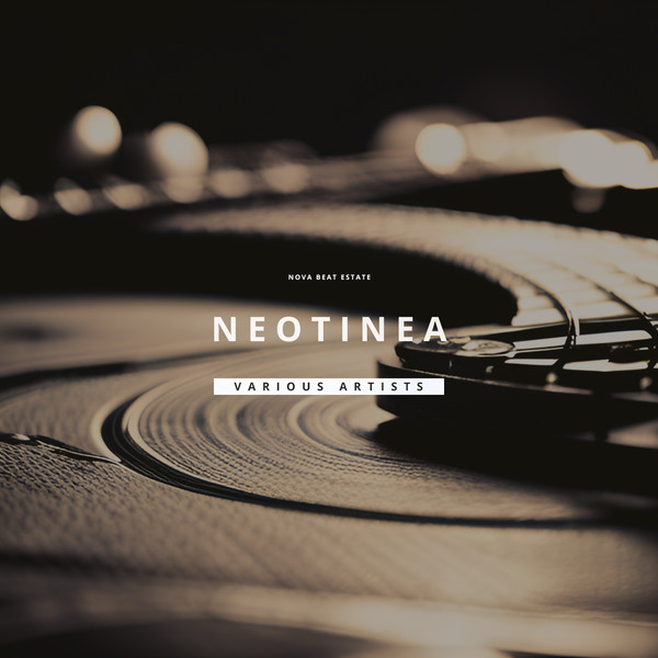 Neotinea