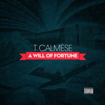 A Will Of Fortune