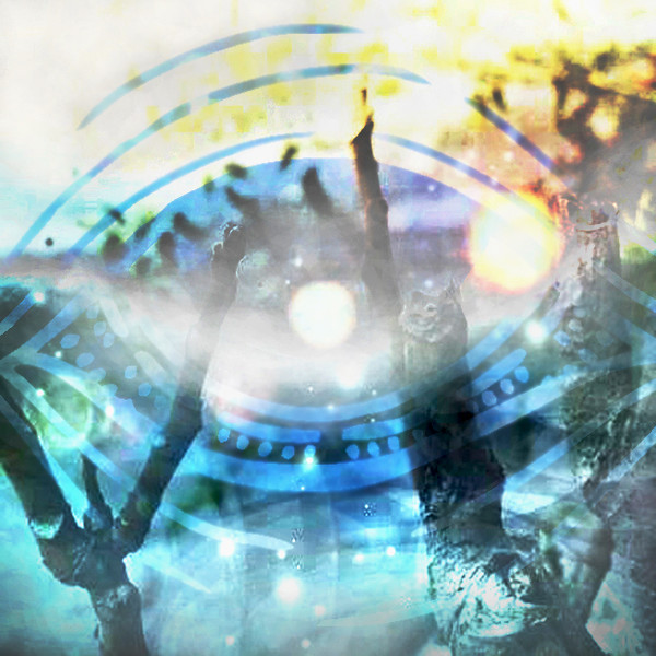 (​(​(​(​MiniEP​)​)​)​)