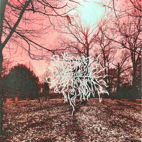 Haunting My Dreams
