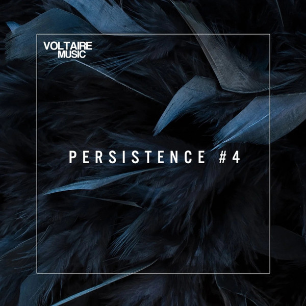 Persistence #4
