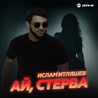Ай, Стерва