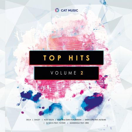 Top Hits Volume 2