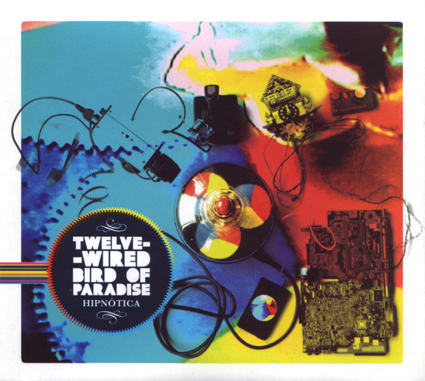 Twelve-Wired Bird Of Paradise