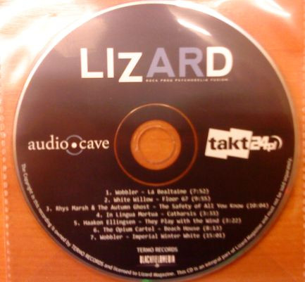 Lizard 03/2011