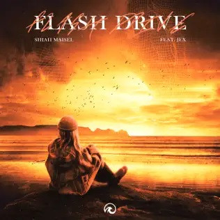 Flash Drive
