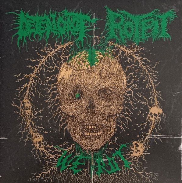 We Rot