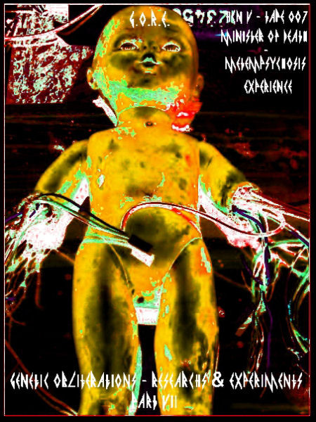 Metempsychosis Experience - HCN V-TAPE 007
