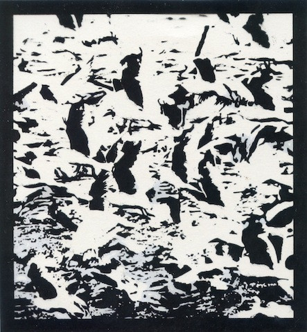 Gulls