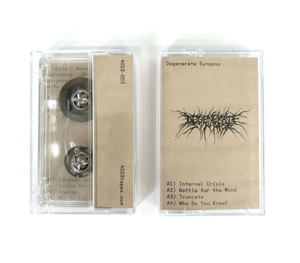 Degenerate Synapse