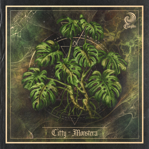 Monstera