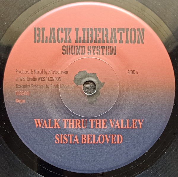 Walk Thru The Valley / Walk Thru Dub