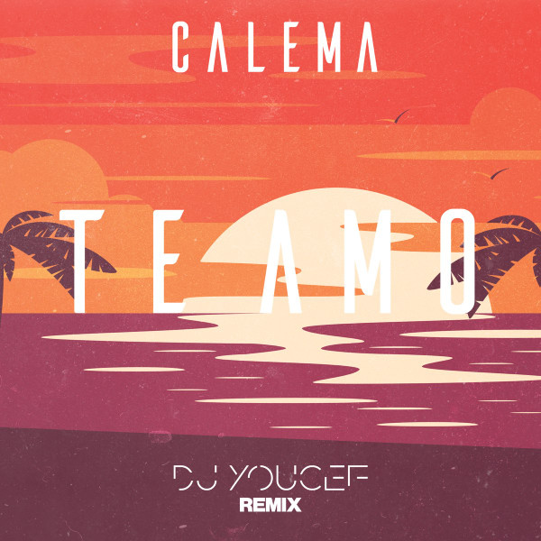 Te Amo [DJ Youcef Remix]