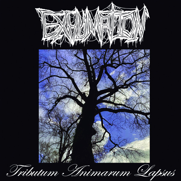 Tributum Animarum Lapsus