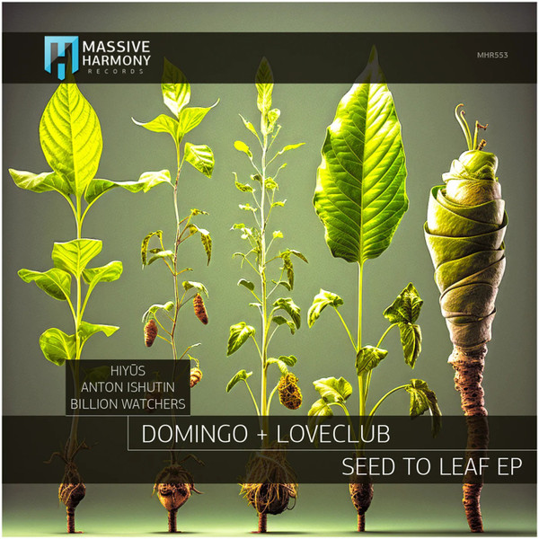 Seed To Leaf EP