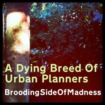 A Dying Breed Of Urban Planners