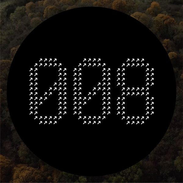 NECH008 Scary Beautiful LP #3