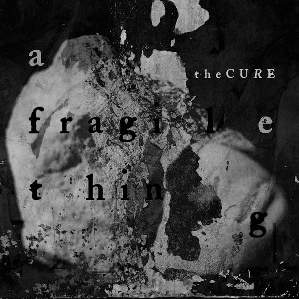 A Fragile Thing 