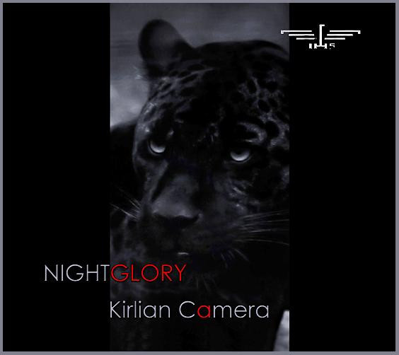 Nightglory