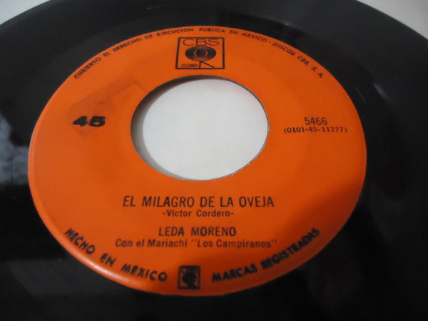 El Milagro De La Oveja / Su Alternativa