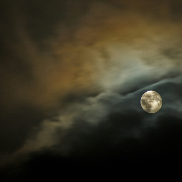 Moonlight