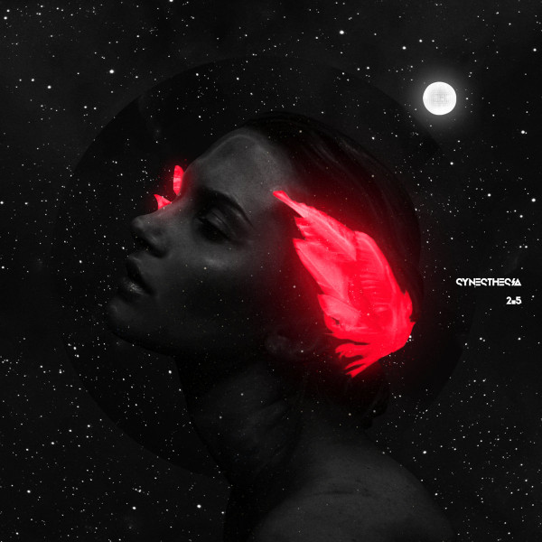 SYNESTHESIA 2.5