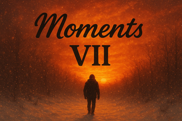 Moments VII