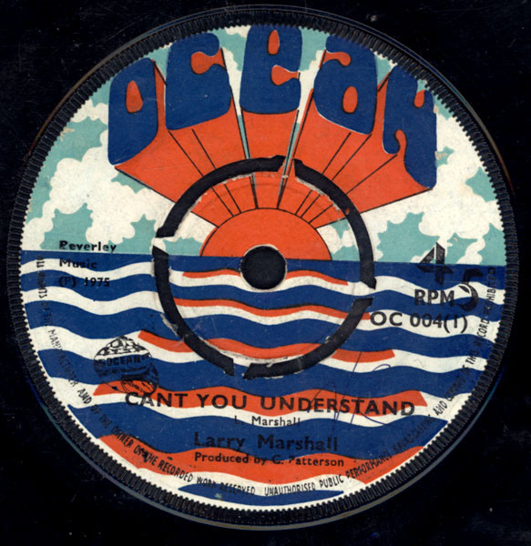 Cant You Understand / Locks Of Dub
