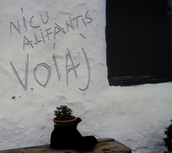 Voiaj