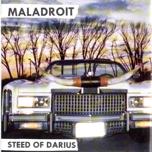 Steed Of Darius