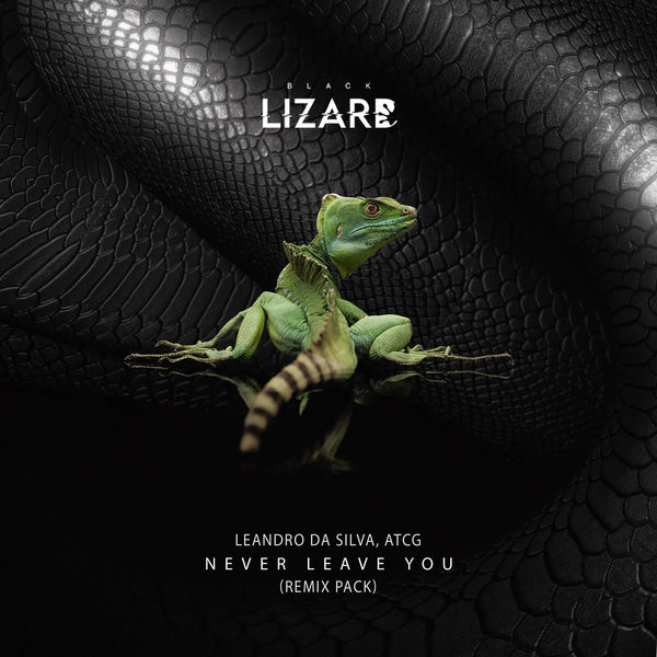 Never Leave You (Remix Pack)