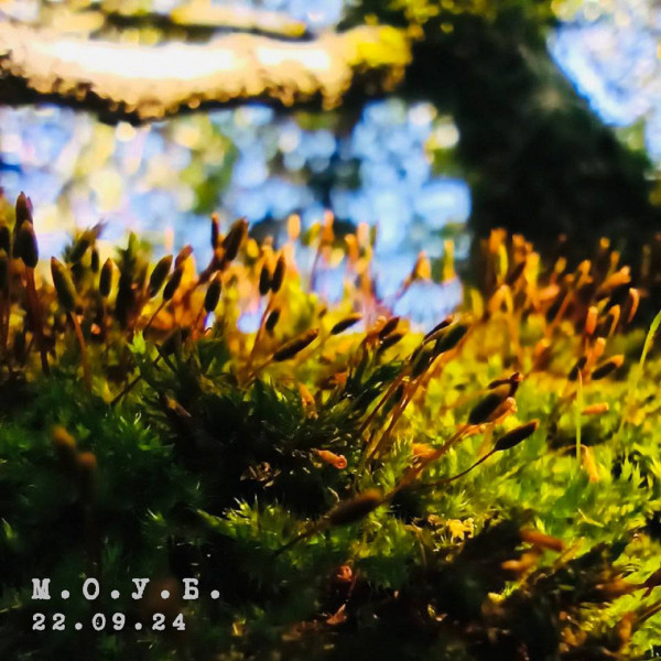 22​.​09​.​24 