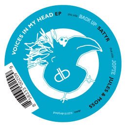 Voices In My Head EP