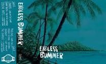 Endless Bummer - Surf Compilation