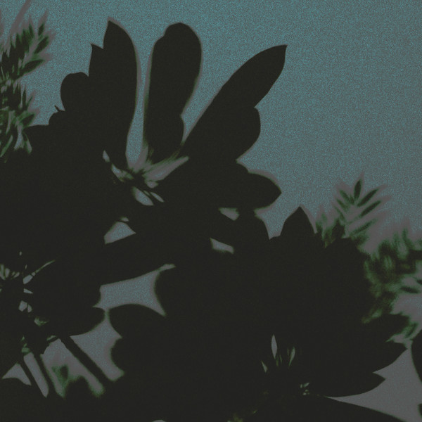 Jungle Trek Mix