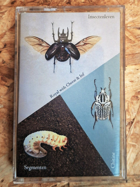 Insectenleven | Segmenten | Chitine