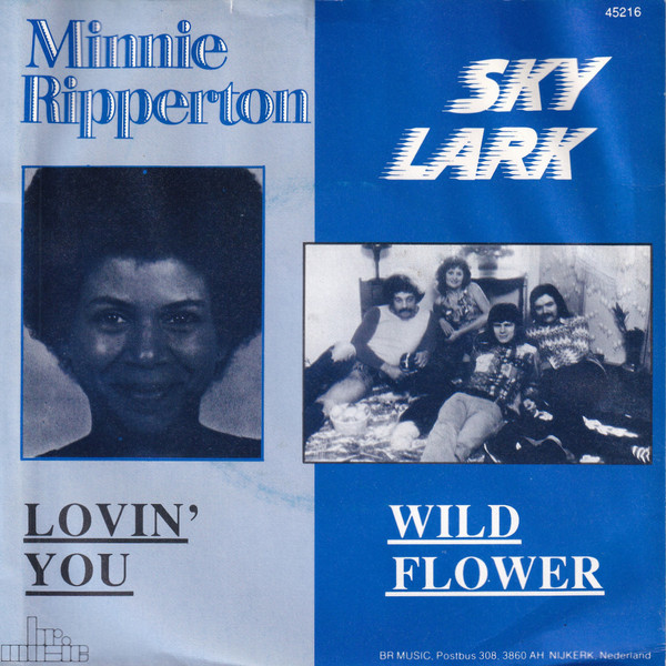 Lovin' You / Wildflower