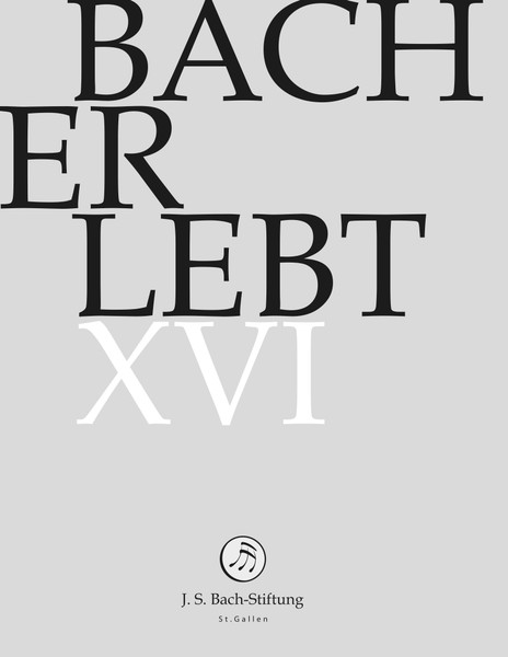 Bach Erlebt XVI