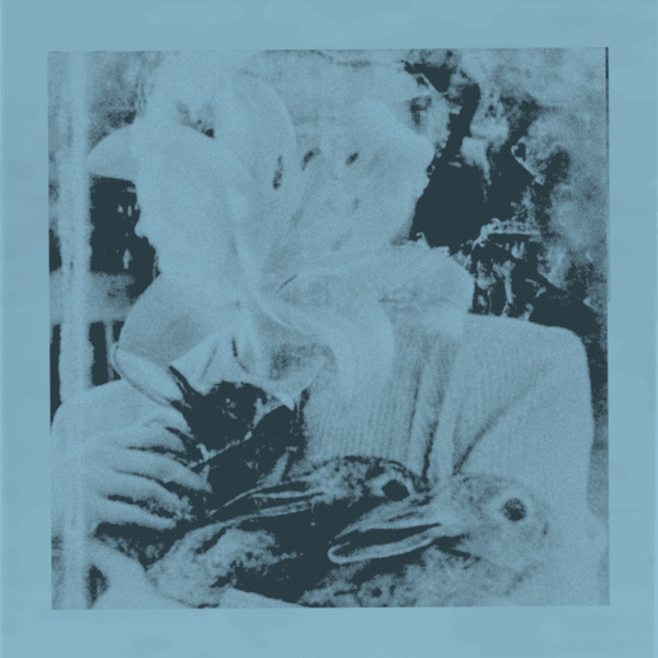 Voice Like Glass / Lily