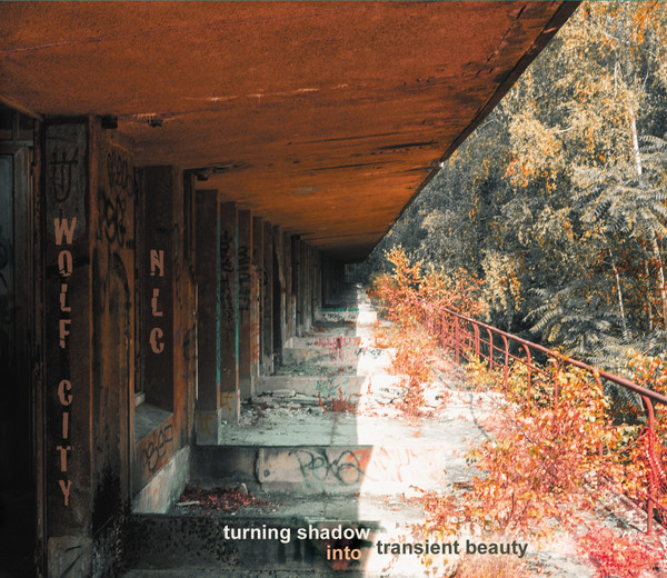 Turning Shadow Into Transient Beauty