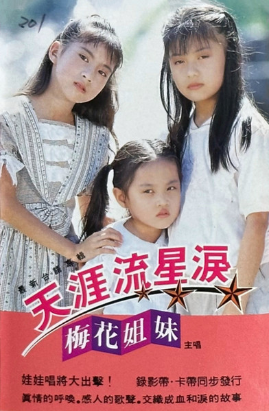 天涯流星淚