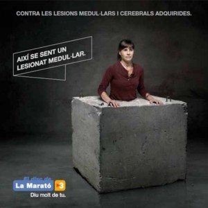 El Disc De La Marató 2010 - Lesions Medul·lars I Cerebrals Adquirides