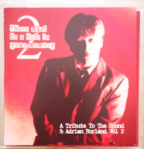 There Must Be A Hole In Your Memory 2 (A Tribute To The Sound & Adrian Borland Vol 2)
