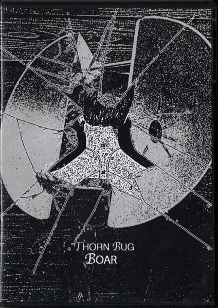 Thorn Bug / Boar