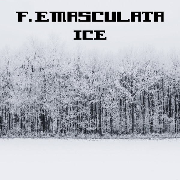 Ice