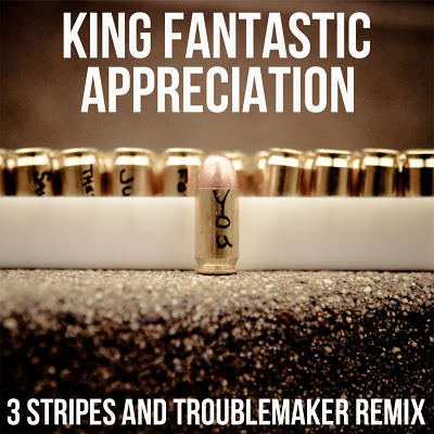 Appreciation (3 Stripes And Troublemaker Remix)