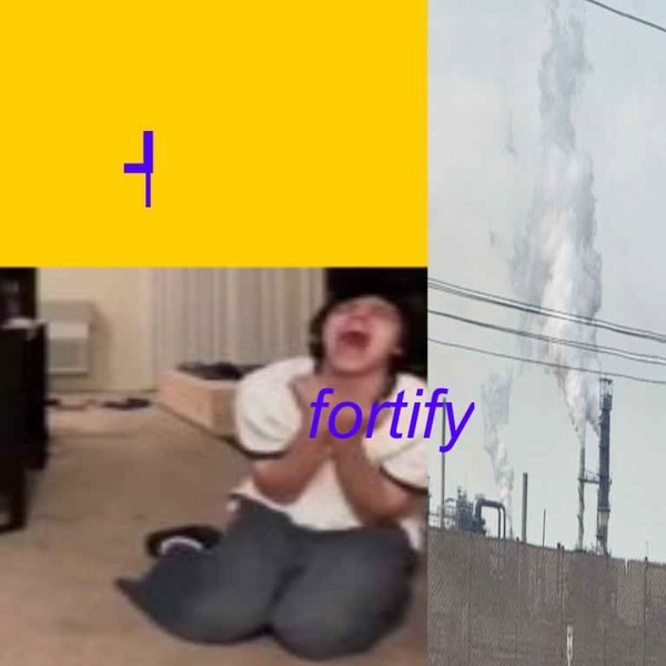 Fortify