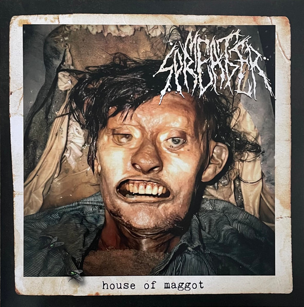 House Of Maggot / The Extent Of The Putrescent Crawling Swarm's Digestion
