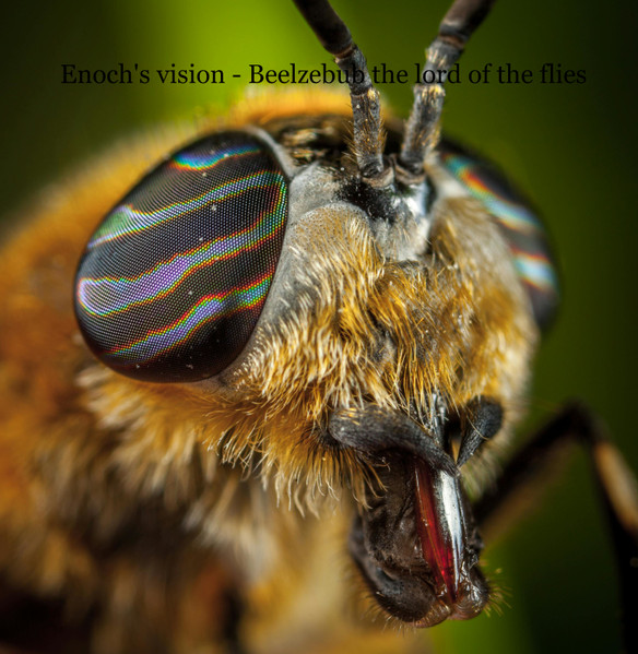 Beelzebub The Lord Of The Flies
