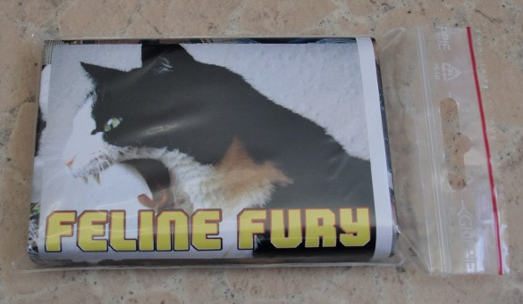 Feline Fury
